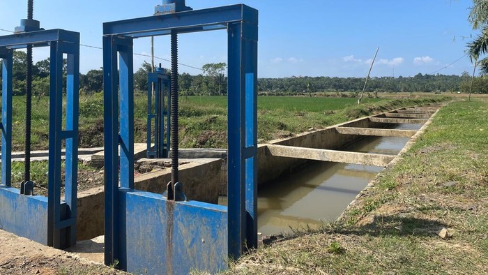 Pemerintah Perkuat Sistem Irigasi untuk Jaga Produksi Pertanian di Tengah Ancaman Iklim